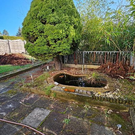 Haus Mit Garten Halle  외부 사진
